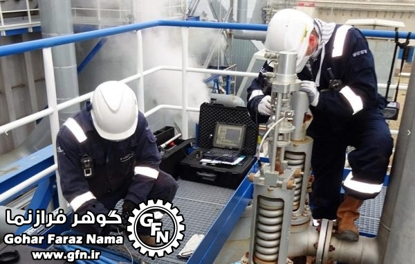 On Site Machines For PSV'S Online Test Model Advance 1.1 - تصویر 4